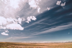 cloud case management, online case management,