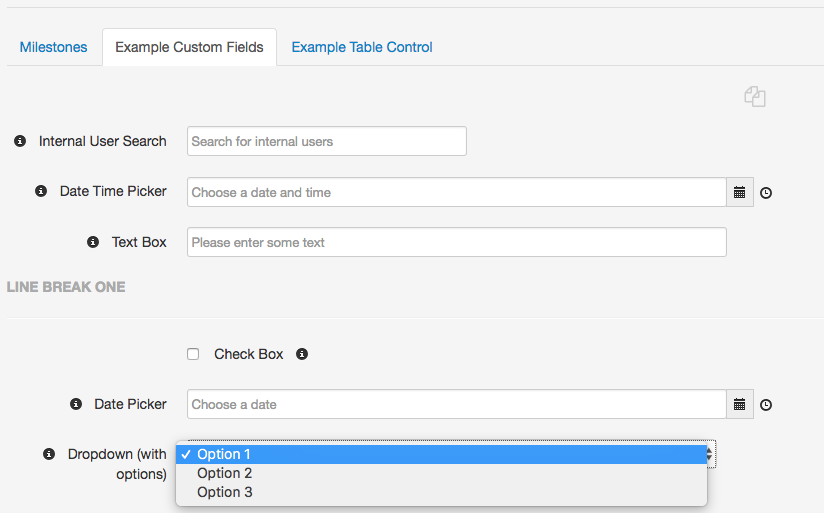 AgileCase Custom Fields